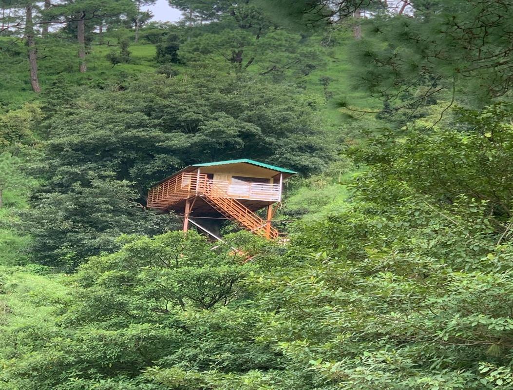 The Cocoon Camps & Nature Resorts Nainital Eksteriør bilde